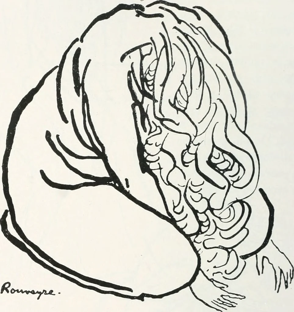 An illustration from Attraverso gli albi e le cartelle : sensazioni d'arte, 1904, leaf 89