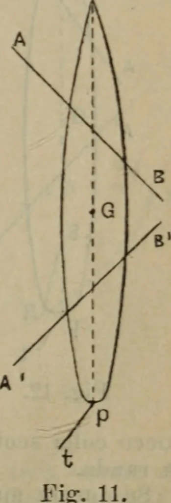 An illustration from Attrezzatura, manovra delle navi e segnalazioni marittime ... con 15 tavole lit. e 232 incisioni nel testo, 1894, leaf 206