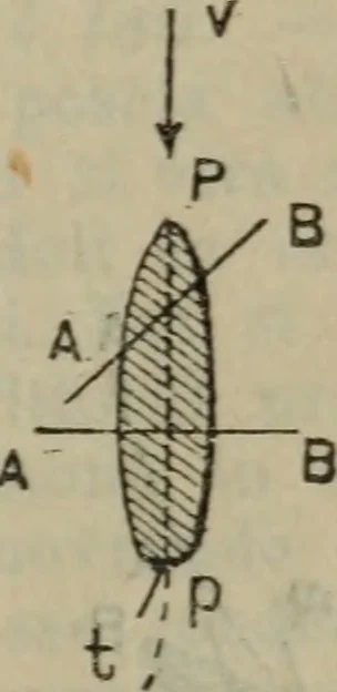 An illustration from Attrezzatura, manovra delle navi e segnalazioni marittime ... con 15 tavole lit. e 232 incisioni nel testo, 1894, leaf 208