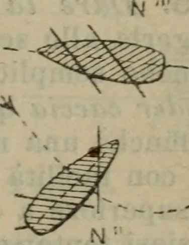 An illustration from Attrezzatura, manovra delle navi e segnalazioni marittime ... con 15 tavole lit. e 232 incisioni nel testo, 1894, leaf 230