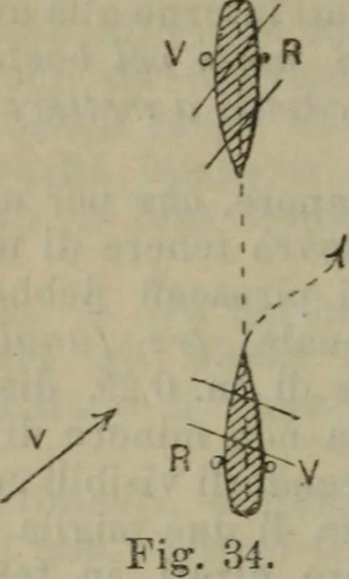 An illustration from Attrezzatura, manovra delle navi e segnalazioni marittime ... con 15 tavole lit. e 232 incisioni nel testo, 1894, leaf 245