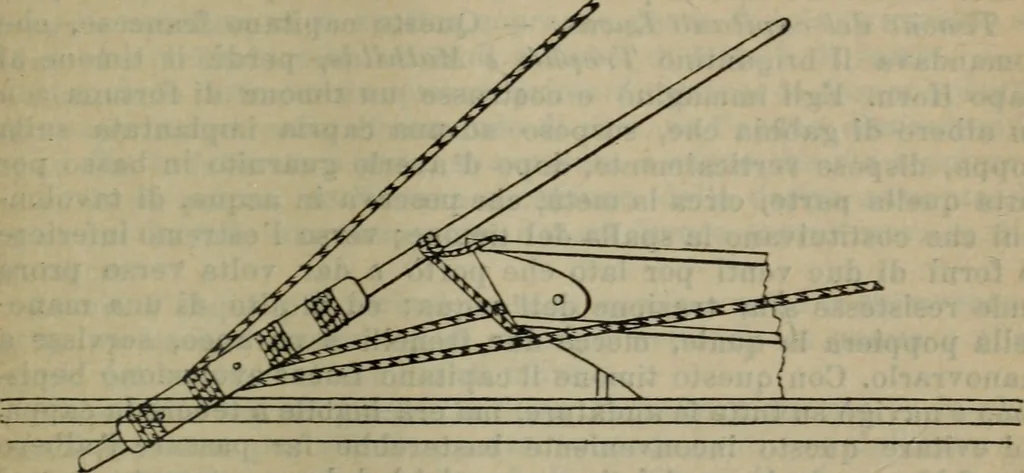 An illustration from Attrezzatura, manovra delle navi e segnalazioni marittime ... con 15 tavole lit. e 232 incisioni nel testo, 1894, leaf 276