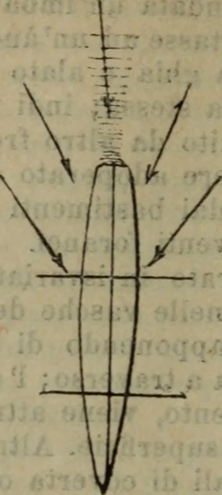 An illustration from Attrezzatura, manovra delle navi e segnalazioni marittime ... con 15 tavole lit. e 232 incisioni nel testo, 1894, leaf 347