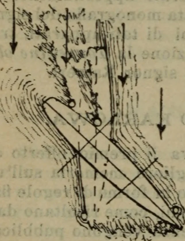 An illustration from Attrezzatura, manovra delle navi e segnalazioni marittime ... con 15 tavole lit. e 232 incisioni nel testo, 1894, leaf 347
