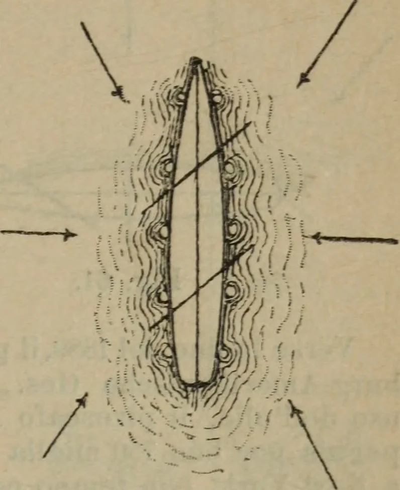 An illustration from Attrezzatura, manovra delle navi e segnalazioni marittime ... con 15 tavole lit. e 232 incisioni nel testo, 1894, leaf 348