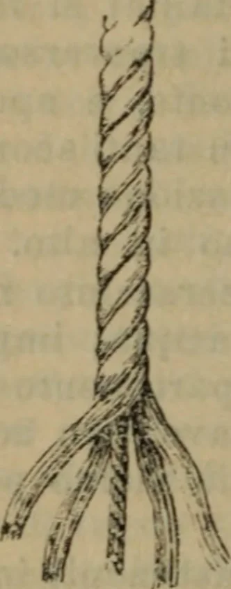 An illustration from Attrezzatura, manovra delle navi e segnalazioni marittime ... con 15 tavole lit. e 232 incisioni nel testo, 1894, leaf 51