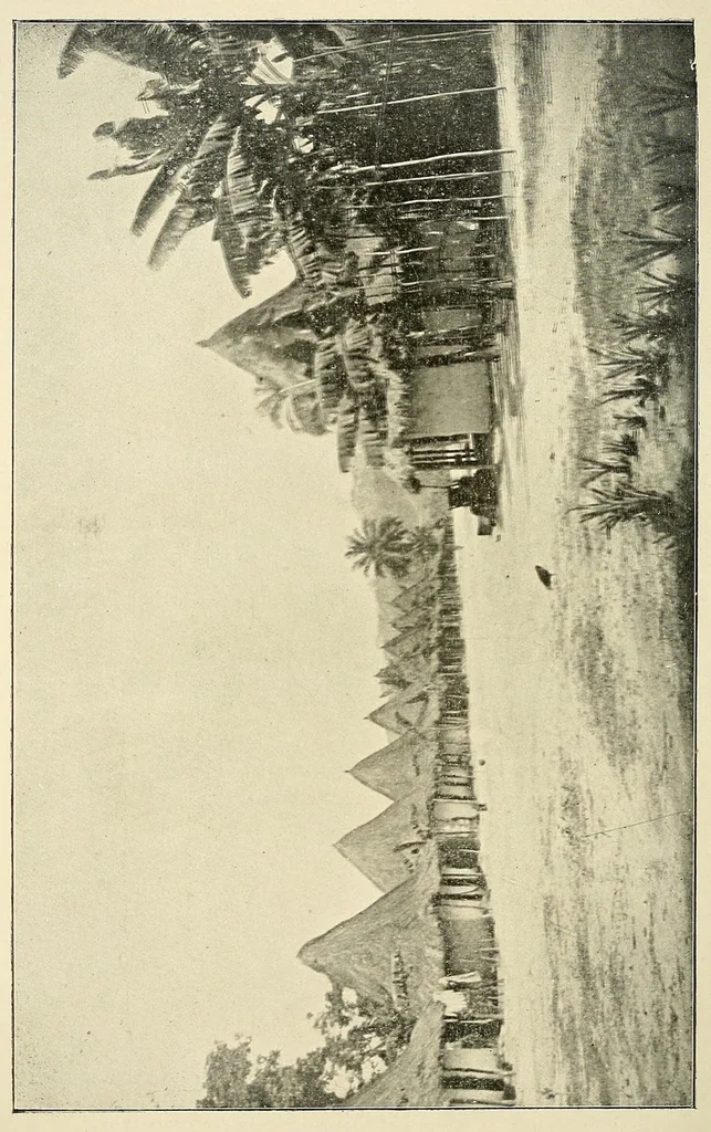 An illustration from Au Congo : carnet de campagne ; episodes & impressions de 1889 à 1897, 1913, leaf 142