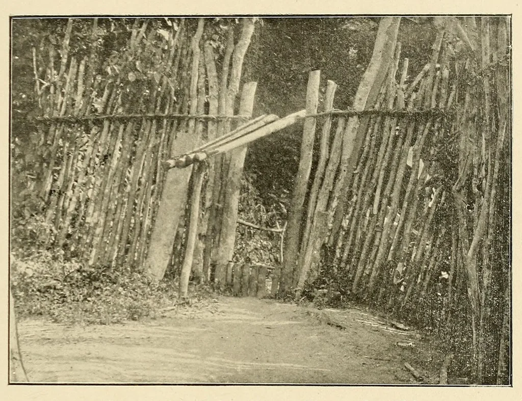 An illustration from Au Congo : carnet de campagne ; episodes & impressions de 1889 à 1897, 1913, leaf 419
