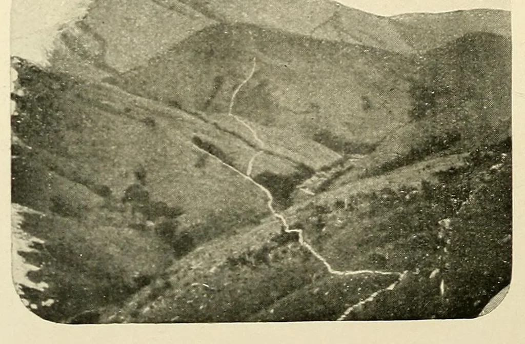 An illustration from Au Congo : carnet de campagne ; episodes & impressions de 1889 à 1897, 1913, leaf 84