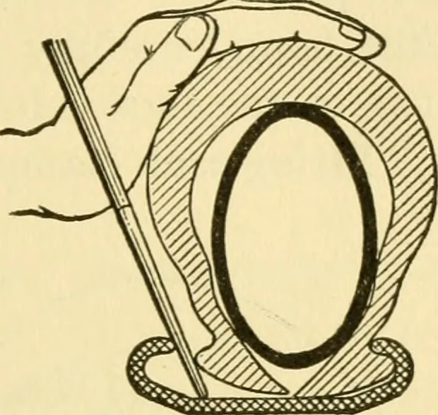 An illustration from Audels answers on automobiles, for owners, operators, repairmen ... including chapters on the storage battery, electric vehicles, motor cycles, overhauling the car, etc. Fully illustrated and indexed, 1911, leaf 348