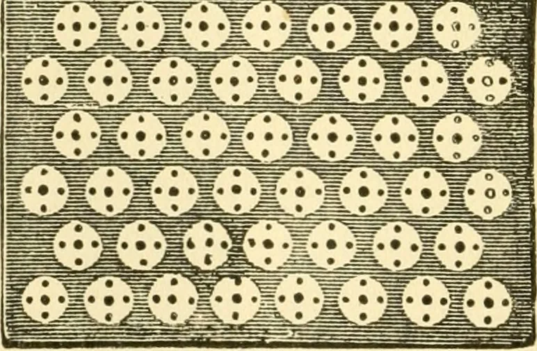 An illustration from Audels answers on automobiles, for owners, operators, repairmen ... including chapters on the storage battery, electric vehicles, motor cycles, overhauling the car, etc. Fully illustrated and indexed, 1911, leaf 425