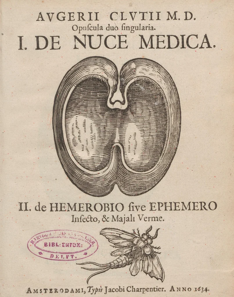 An illustration from Augerii Clutii M.D. Opuscula duo singularia. I. De nuce medica. II. De hemerobio sive ephemero insecto, & majali verme, 1634, leaf 9