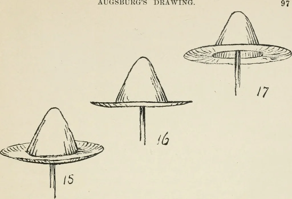 An illustration from Augsburg's drawing, book 2, 1901, leaf 100