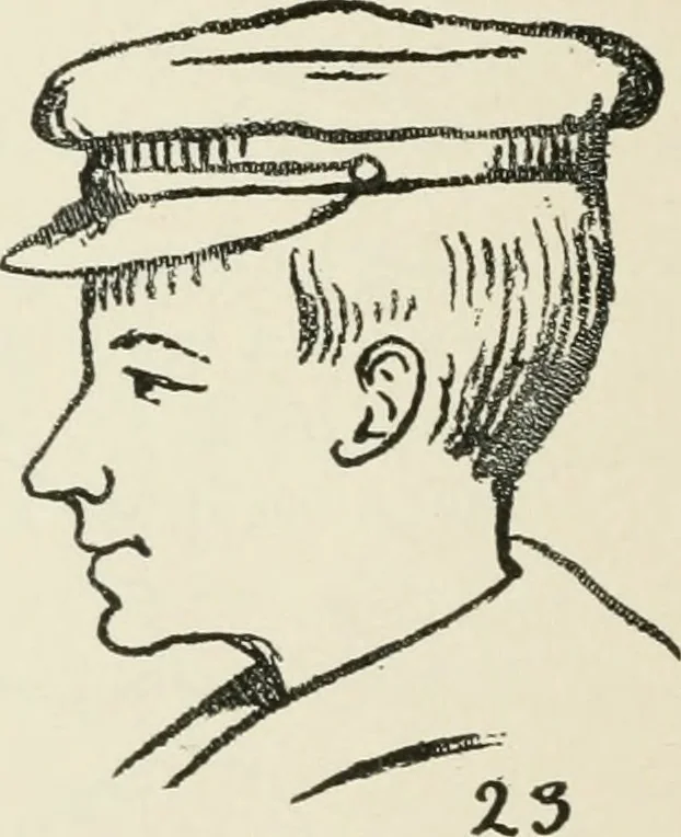 An illustration from Augsburg's drawing, book 2, 1901, leaf 101