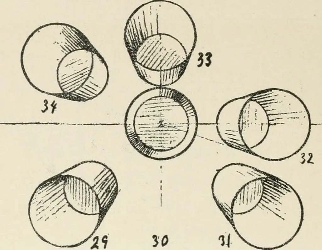 An illustration from Augsburg's drawing, book 2, 1901, leaf 103