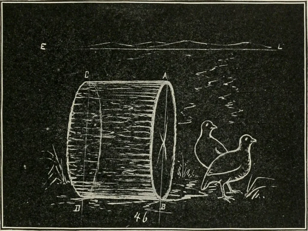 An illustration from Augsburg's drawing, book 2, 1901, leaf 106