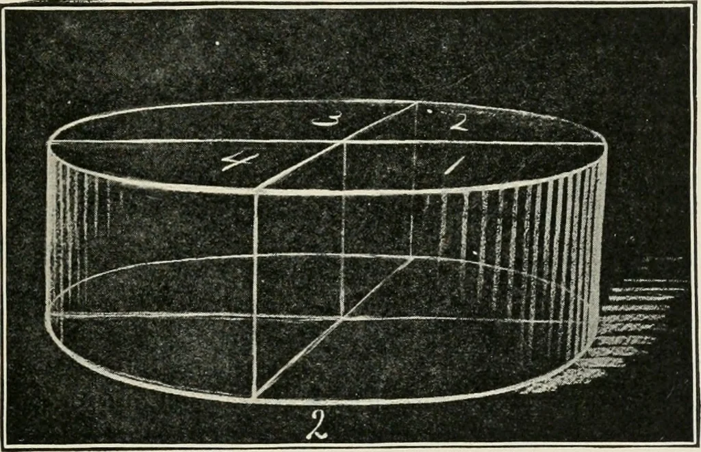 An illustration from Augsburg's drawing, book 2, 1901, leaf 112