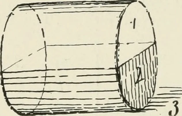 An illustration from Augsburg's drawing, book 2, 1901, leaf 113