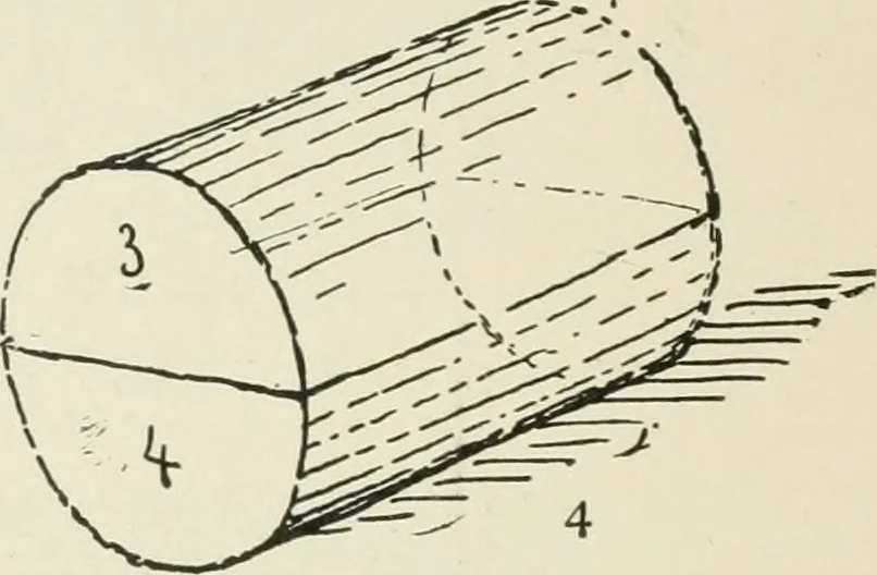 An illustration from Augsburg's drawing, book 2, 1901, leaf 113