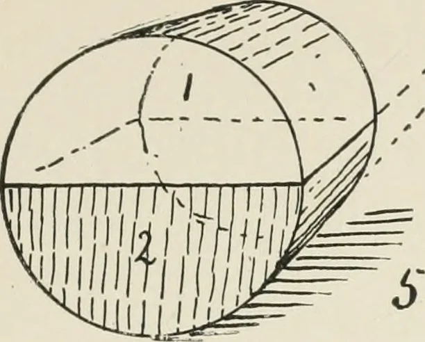 An illustration from Augsburg's drawing, book 2, 1901, leaf 114