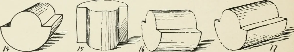 An illustration from Augsburg's drawing, book 2, 1901, leaf 115