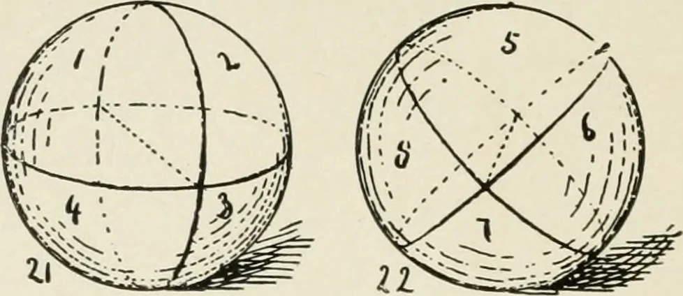 An illustration from Augsburg's drawing, book 2, 1901, leaf 117