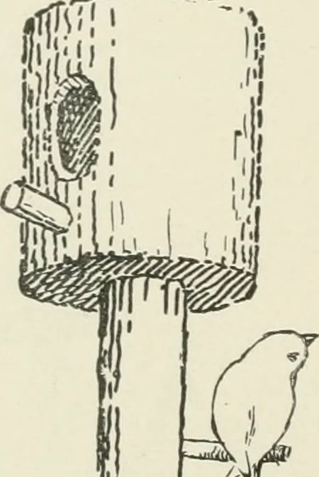 An illustration from Augsburg's drawing, book 2, 1901, leaf 119
