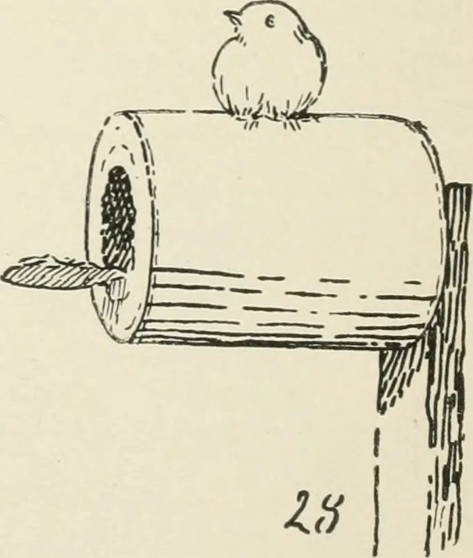 An illustration from Augsburg's drawing, book 2, 1901, leaf 119