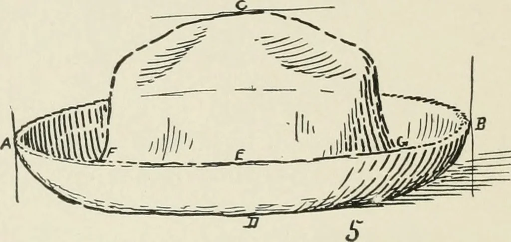 An illustration from Augsburg's drawing, book 2, 1901, leaf 127