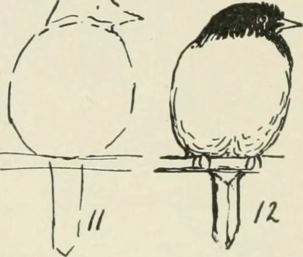 An illustration from Augsburg's drawing, book 2, 1901, leaf 129