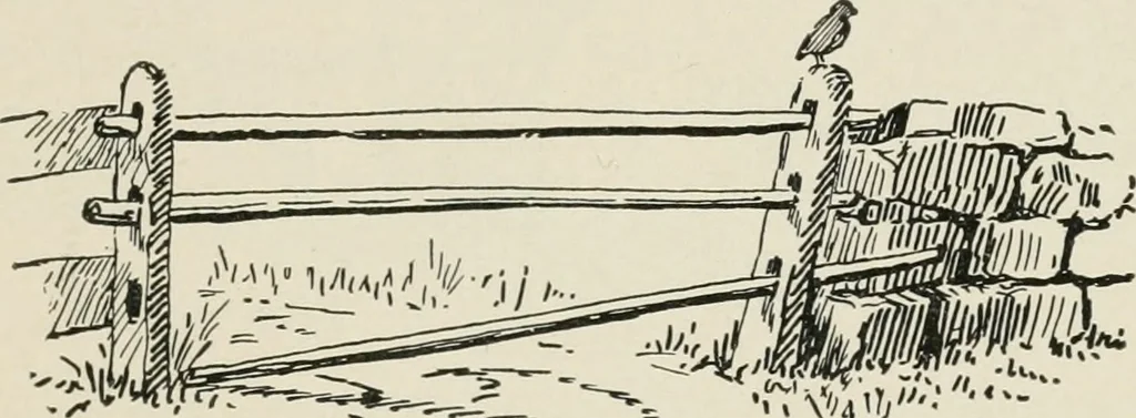 An illustration from Augsburg's drawing, book 2, 1901, leaf 130