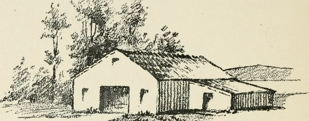 An illustration from Augsburg's drawing, book 2, 1901, leaf 131