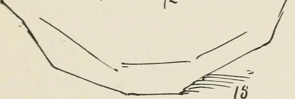 An illustration from Augsburg's drawing, book 2, 1901, leaf 132