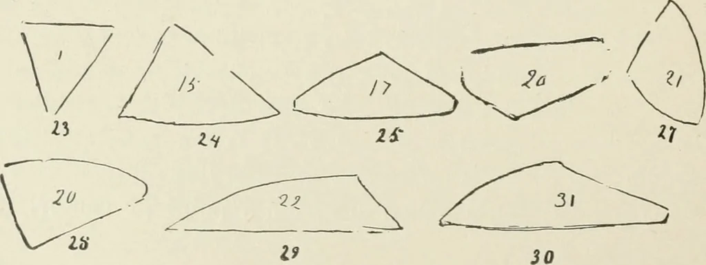 An illustration from Augsburg's drawing, book 2, 1901, leaf 135