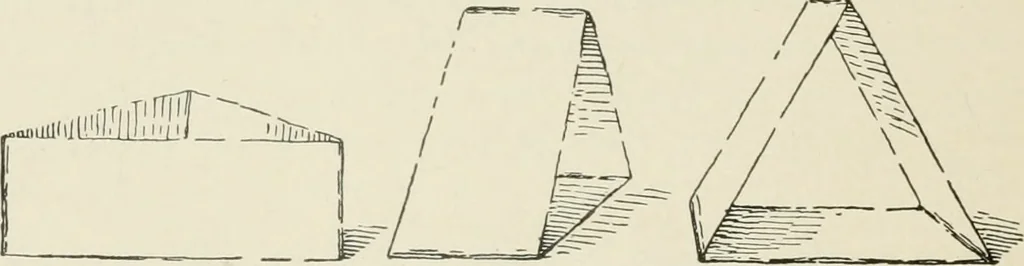 An illustration from Augsburg's drawing, book 2, 1901, leaf 145