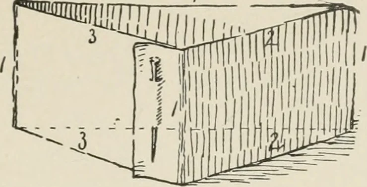 An illustration from Augsburg's drawing, book 2, 1901, leaf 146