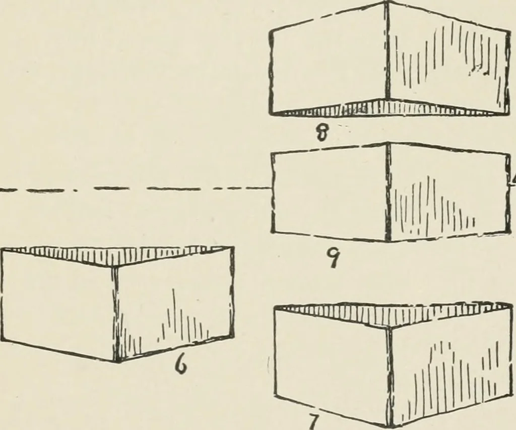 An illustration from Augsburg's drawing, book 2, 1901, leaf 146