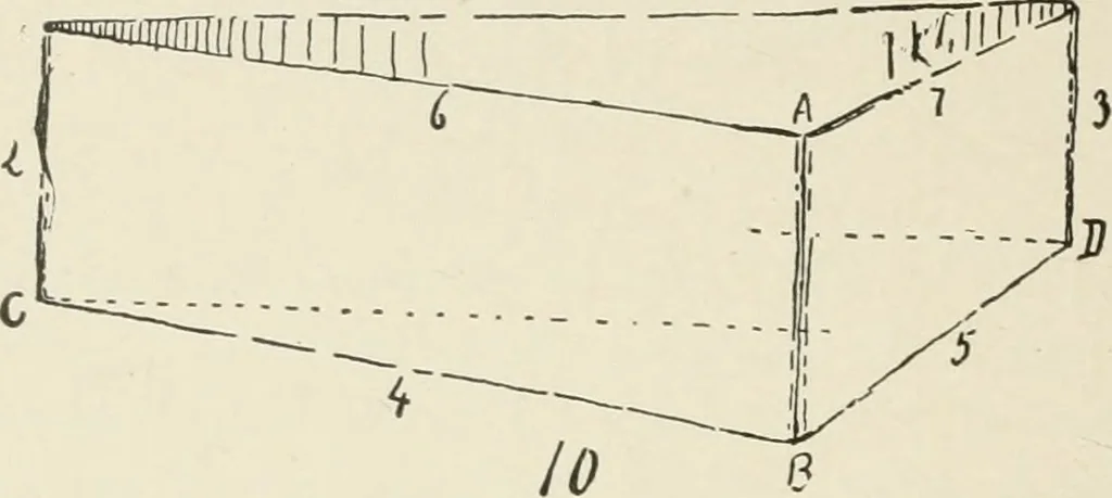 An illustration from Augsburg's drawing, book 2, 1901, leaf 147