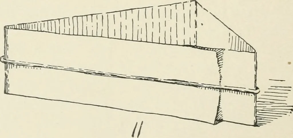 An illustration from Augsburg's drawing, book 2, 1901, leaf 147