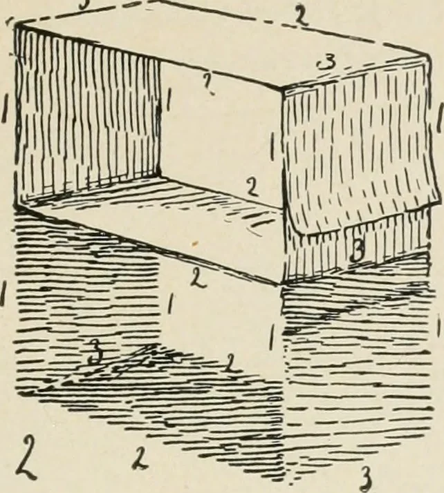 An illustration from Augsburg's drawing, book 2, 1901, leaf 156