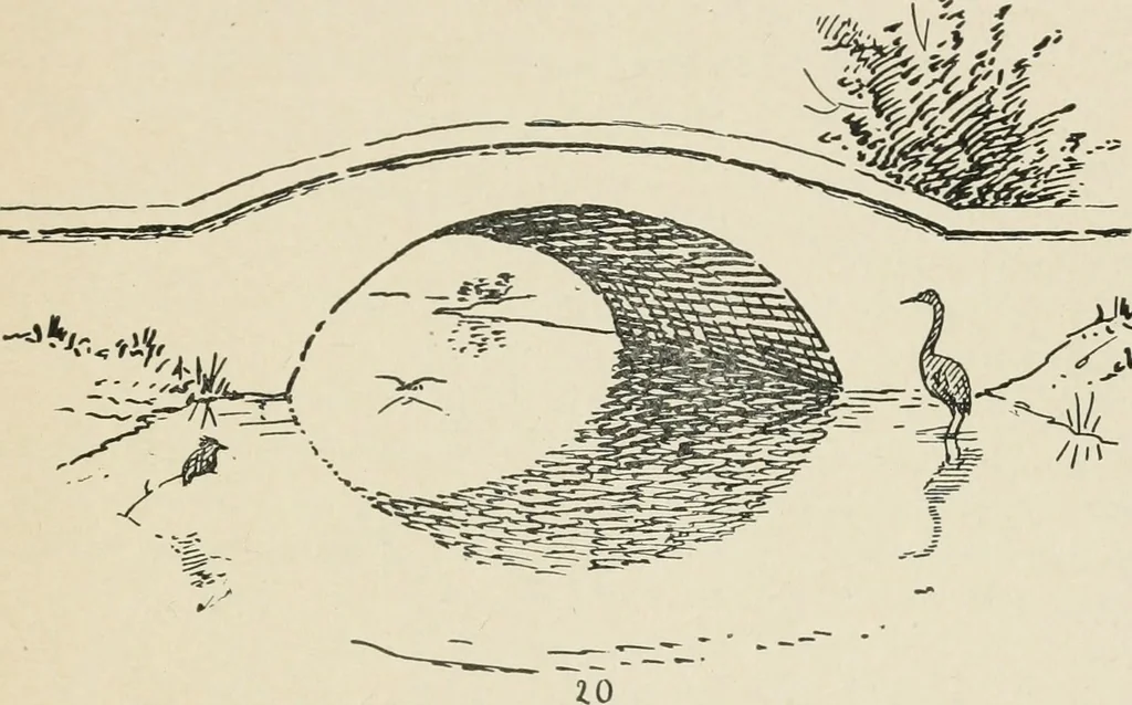 An illustration from Augsburg's drawing, book 2, 1901, leaf 160