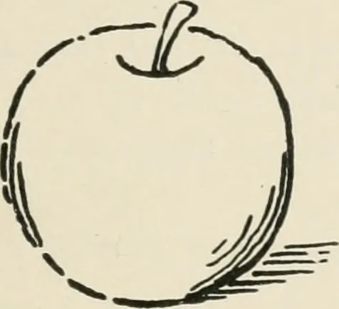 An illustration from Augsburg's drawing, book 2, 1901, leaf 20