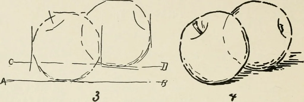 An illustration from Augsburg's drawing, book 2, 1901, leaf 21