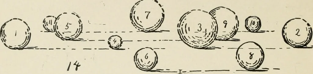 An illustration from Augsburg's drawing, book 2, 1901, leaf 27