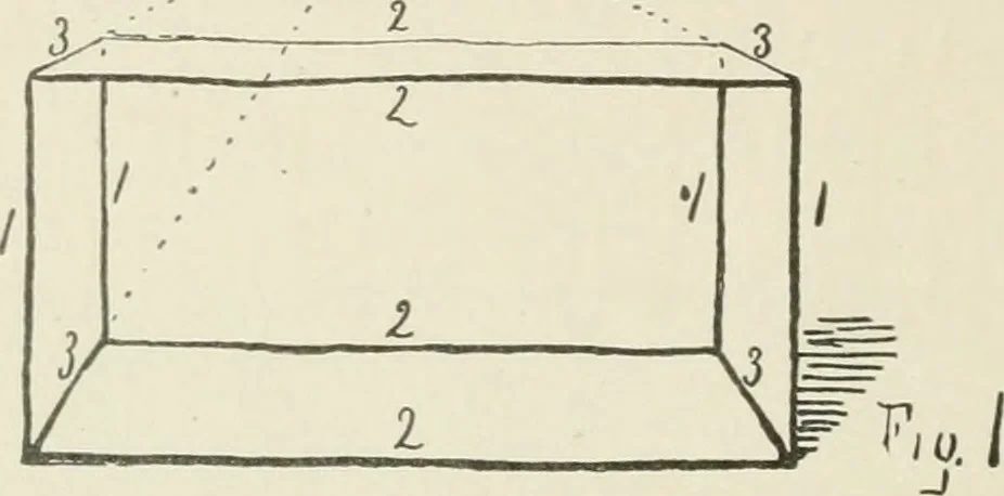 An illustration from Augsburg's drawing, book 2, 1901, leaf 35