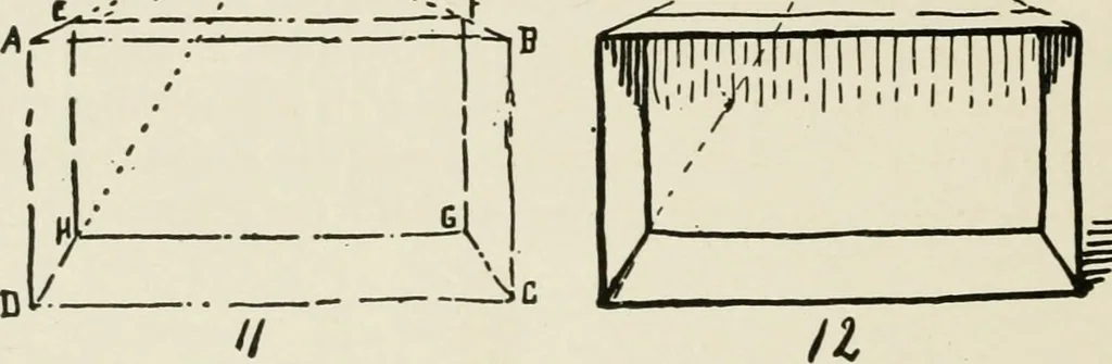 An illustration from Augsburg's drawing, book 2, 1901, leaf 37
