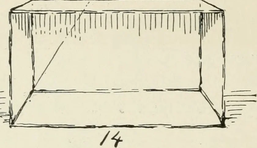 An illustration from Augsburg's drawing, book 2, 1901, leaf 39