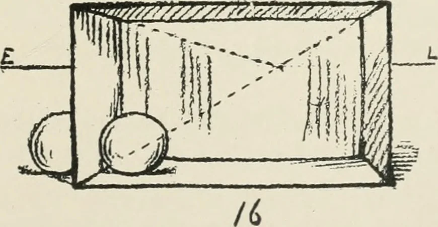 An illustration from Augsburg's drawing, book 2, 1901, leaf 40