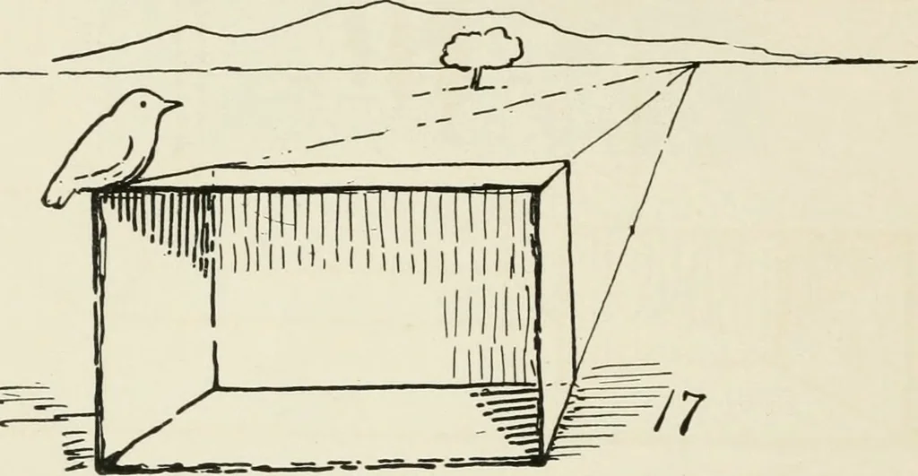 An illustration from Augsburg's drawing, book 2, 1901, leaf 41