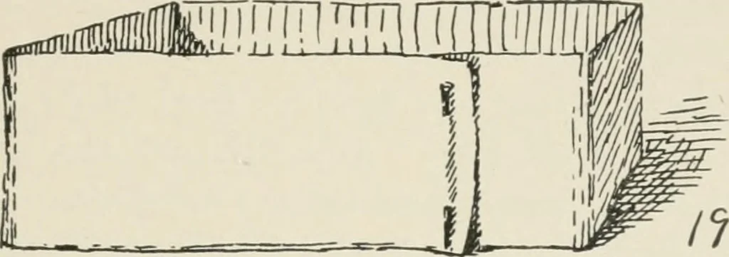 An illustration from Augsburg's drawing, book 2, 1901, leaf 44